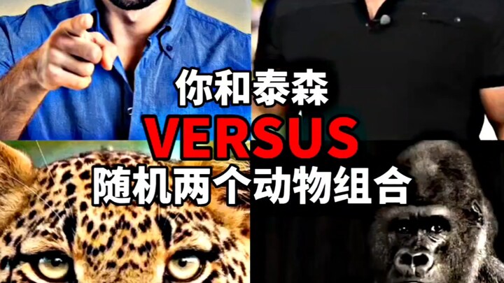 你和泰森VS随机两个动物组合