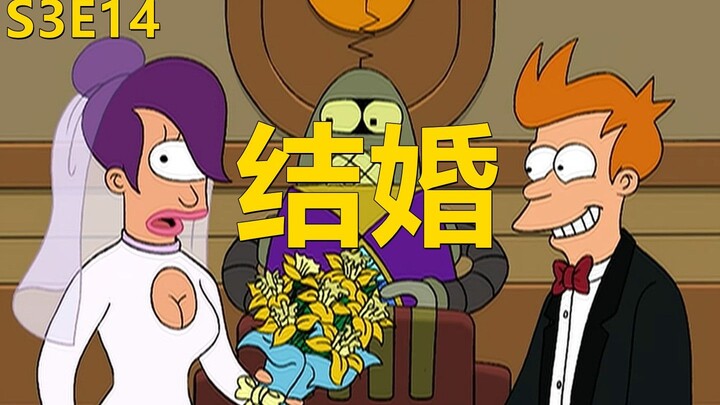 【废材】时间错乱让弗莱娶到莉拉又失去她最后明白一起却又无话可说飞出个未来之时间错乱