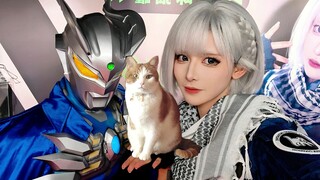 穿着最帅的衣服去见猫罐