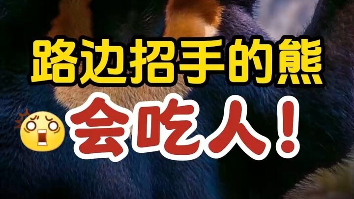 سرّ التلويح الذي يوجهه الدب في حديقة الحيوان لك!