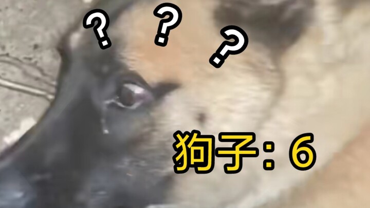 هل سمحت لك بالنوم؟ قم وابدأ العمل!