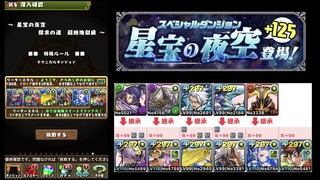 【パズドラ】星宝の夜空【水着ヴェロア × ココ】