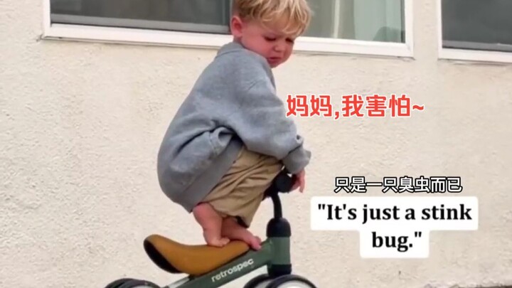 Những bạn nhỏ chỉ có một chút xíu can đảm thôi