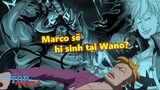 Marco sẽ hi sinh tại Wano? Sức mạnh ngang trình Đô Đốc Hải Quân?