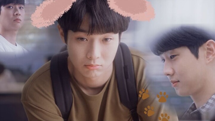 ฉันเองก็ไม่อยากชิปเหมือนกัน แต่การที่เขามองนางเอกนี่มันก็เหมือนหมากัดหมาจริงๆ ปีนั้นเรา | ชเวอุง x ก