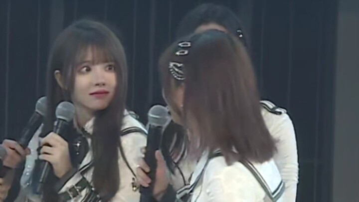 王睿琦《找不着北·哈士琦》| 补档人的快乐