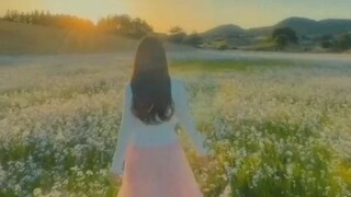 my dream before wake up of the bed