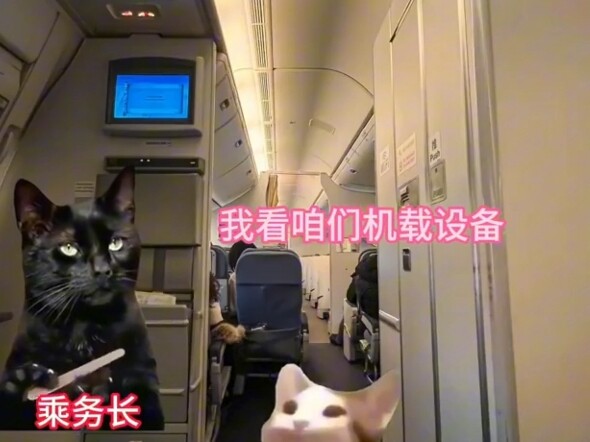 The Platinum Card Holders from Jiangsu, Zhejiang, and Shanghai Have Arrived! All Clear the Way!!!