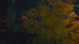 夫妻俩度假偶遇三个逃犯，光头丈夫竟险遭侵犯