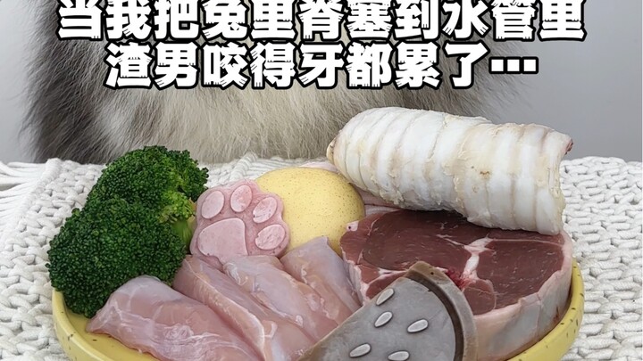 When I stuffed rabbit loin into the water pipe…