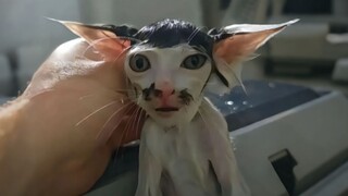 น่ารักจังเลย จับฉันไว้แน่นๆ