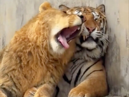 Sorry, we’re just not a good match…