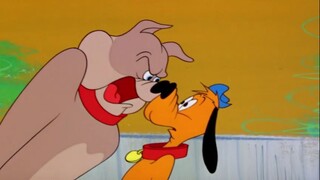 Give and Tyke (1957)