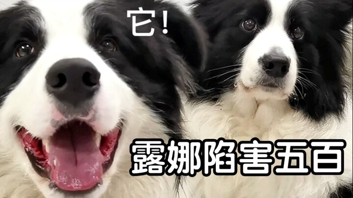 ฉากการใส่ร้ายป้ายสีครั้งใหญ่!!!