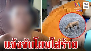 พระแจ้งจับโยมใส่ร้ายมีเซ็กซ์วิตถารกับหมา ลั่นถูกดิสเครดิต | ทุบโต๊ะข่าว | 29/7/67