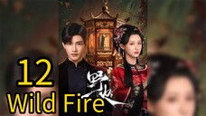 12  野火Yěhuǒ [Wild Fire].... ❤️🔥