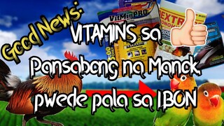 African Lovebirds | What Vitamins & Supplements for Chickens are good for LOVEBIRDS?