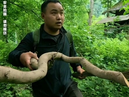 Wilderness Old House: A netizen wants to see their hometown—no problem, we’ve got it covered!