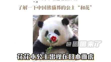 ศึกควีนไอดอลระหว่างเซียงเซียงกับฮวาฮวา ฮ่าๆ แฟนคลับญี่ปุ่นหลงรักเซียงเซียงของเราจริงๆ เลย!