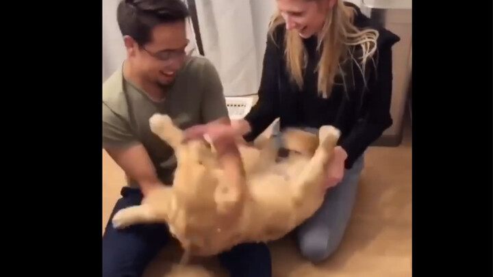 People who don’t own dogs can’t truly understand this kind of joy.