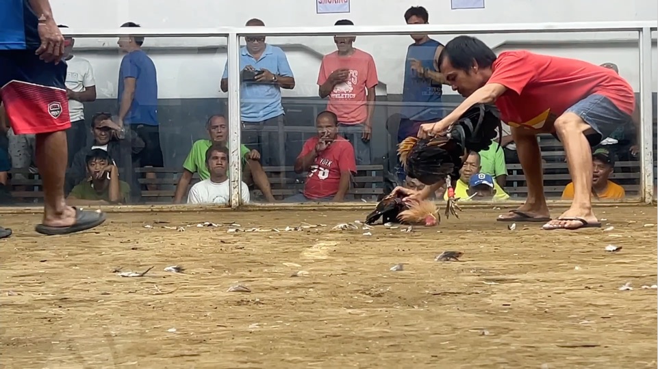 Qor oq va etti sivilce onlayn porno Yalangoch ozbek erkaklar rasmlari