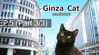 แนะนำ 😍 GINZA CAT แมวเหมียวกินซ่า ⭐ พากย์ไทย EP5_3