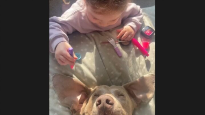 “Buku Harian Xiu Gou” Dua Malaikat di Dunia 👼🏻