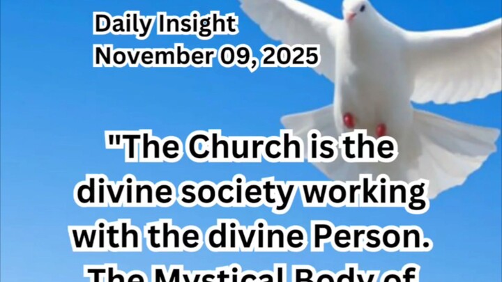 Daily Insight November 09, 2025 #faith #saint #insight