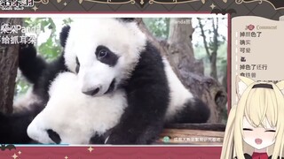 日本jk看国宝大熊猫的反应
