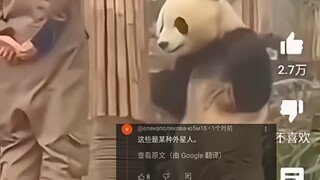 外网热议中国熊猫搞笑迷惑行为，200万人浏览，网友：它看起来像外星人