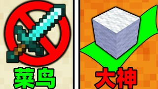 Take block development to the extreme—Minecraft is more than just a survival game!