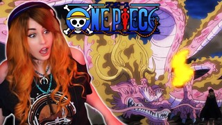 IT'S TIME! 🔥 One Piece Episode 1047 Reaction + Review!