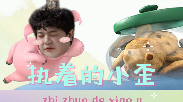 【jy丨戴士】执着的小歪