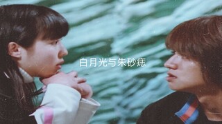(Gaoranger) Kai x Sae | Gao Blue x Gao White [FMV]