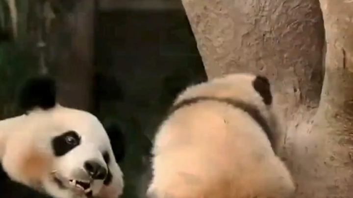Motherly love knows no bounds.