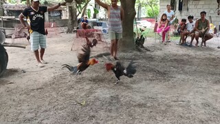 boston and ruble hatch of my friend