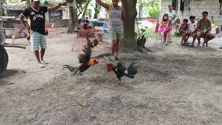 boston and ruble hatch of my friend