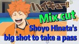 [Haikyuu!!]  Mix cut |  Shoyo Hinata's big shot to take a pass