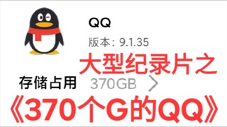 大型纪录片之《370个G的QQ》