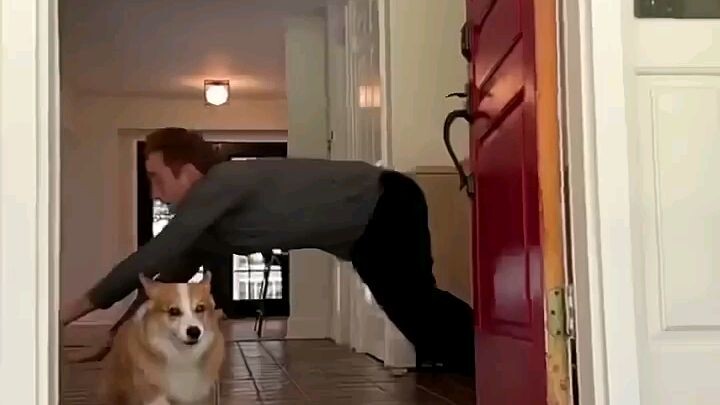 ganito din ba aso niyo😂😂😂😂