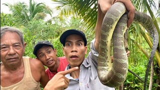 Cười Xỉu Với Thanh Niên Sợ Rắn & Món Rắn Ri Cá Hầm Măng