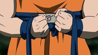 My name is Son Goku and my dream is to collect all the Dragon Balls and become Naruto!