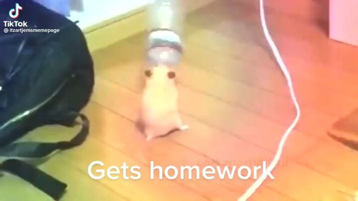 when school is done 🥰🥰