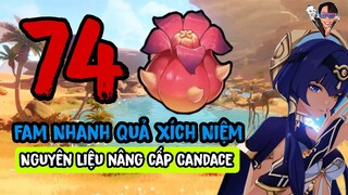 Tất Cả Vị trí 74 Quả Xích Niệm Genshin Impact | nguyên Liệu Nâng cấp Nhân Vật Candace