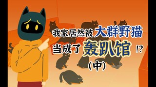 我家居然被大群野猫当成了轰趴馆！？（中）