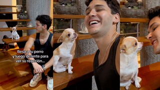 你见过比这只 更可爱的狗吗🐶