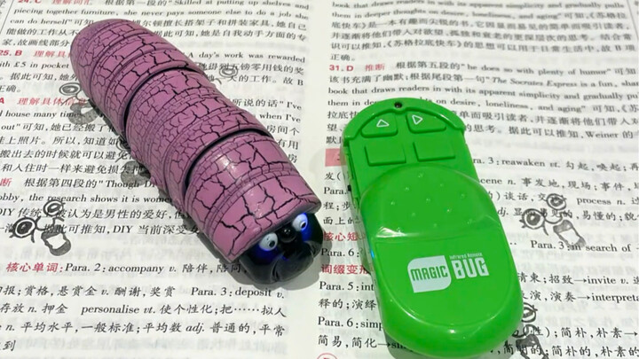 Ulat bulu ini lucu banget, aku bisa main dengannya seharian!