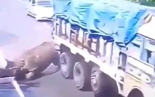 แรดที่ไม่เคยเห็นโลกมาก่อน [น้ำตาไหล]