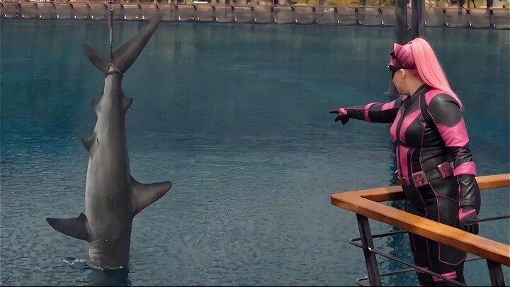 It Was Supposed to Be a Feeding Show… Then Everything Went Wrong!