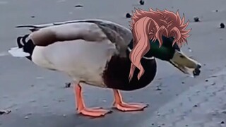 Duckyoin